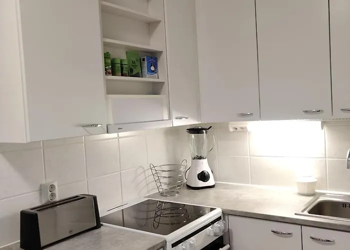 Daire Entire In The Location In Tuuri! *